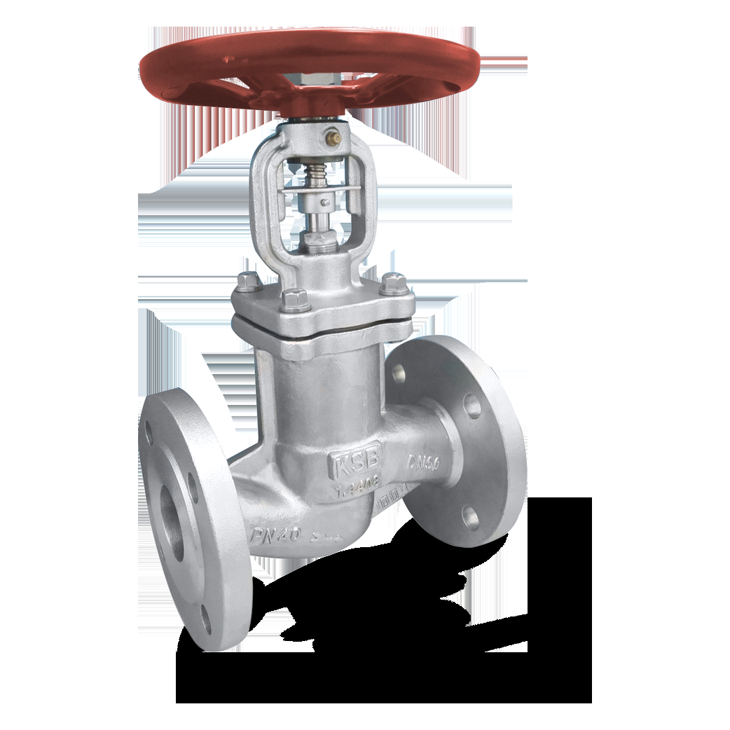 Robinet à soupape BOACHEM-ZXAB DN 50 PN 10-40