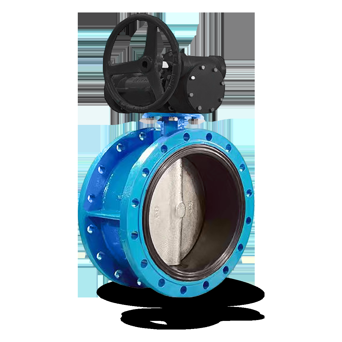 Robinet à papillon BOAX-CBV13 SS316/NBR PN16 DN100+ GEAR