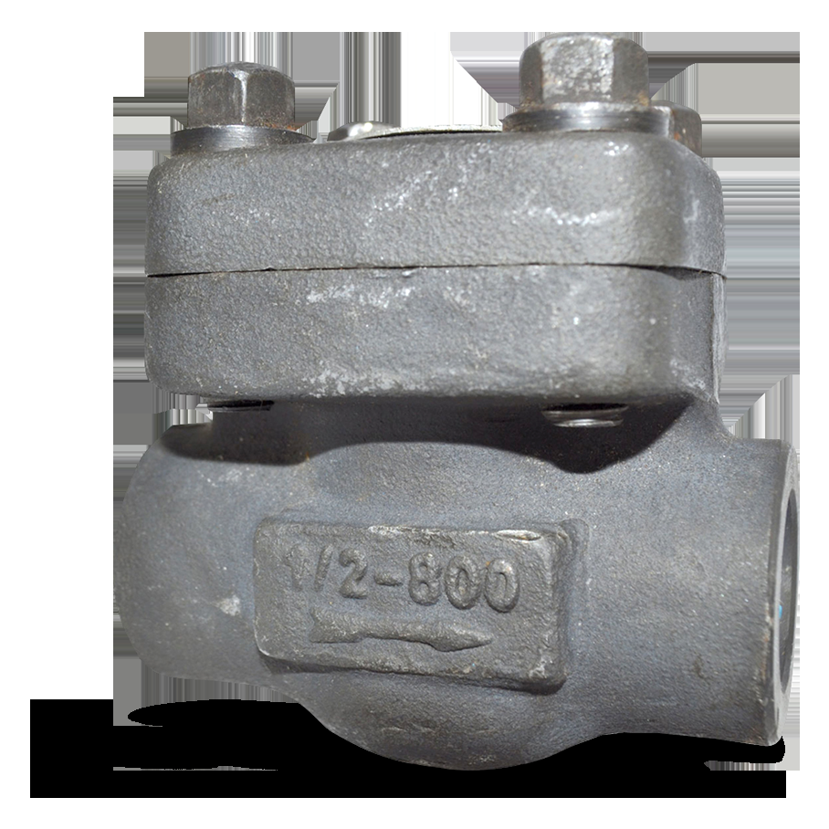 Clapet anti-retour à soupape ECOLINE PTF 800 1 1/2 IN NPT F316 Trim10