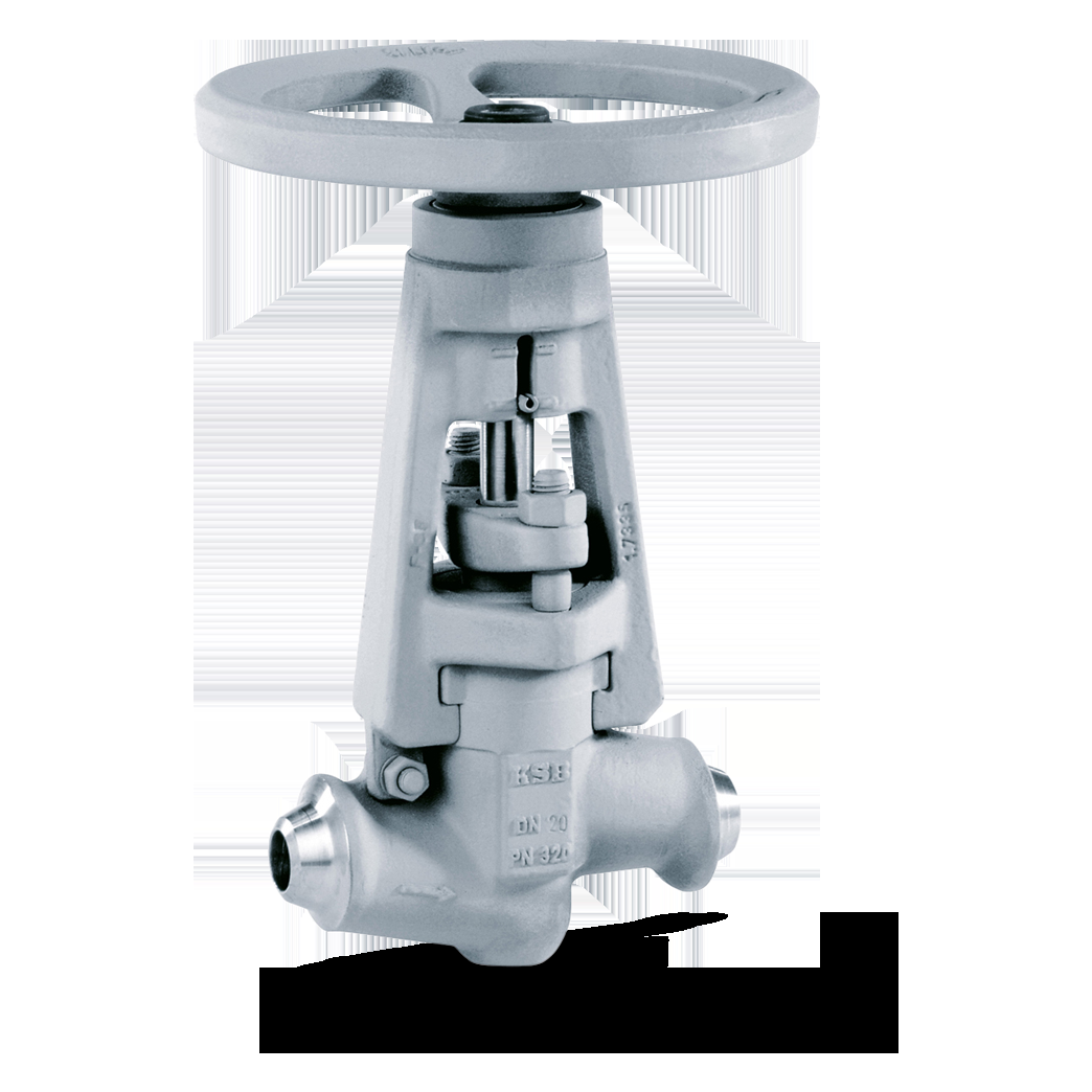Robinet à soupape NORI 320 ZXSV NORI320 ZXSV PN250 DN10 1.5415